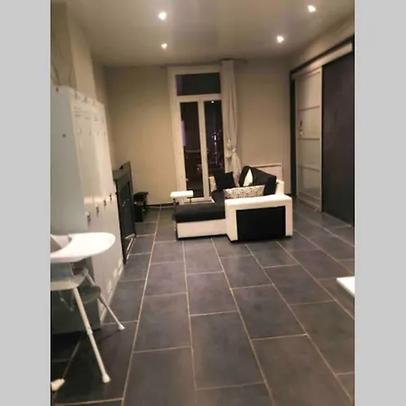 T4 Spacieux Dans Quartier Animé De Idéal Pour Visa Pour L’image Appartement Perpignan