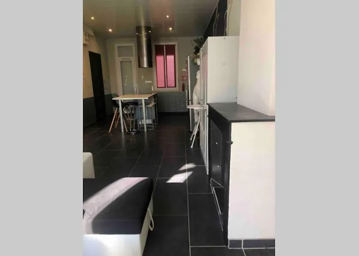 T4 Spacieux Dans Quartier Anime De Ideal Pour Visa Pour L'image Apartment Perpignan