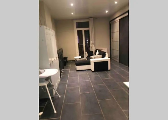 T4 Spacieux Dans Quartier Anime De Ideal Pour Visa Pour L'image Apartment Perpignan