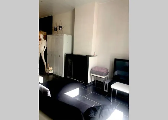 T4 Spacieux Dans Quartier Anime De Ideal Pour Visa Pour L'image Περπινιάν