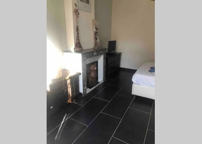 T4 Spacieux Dans Quartier Anime De Ideal Pour Visa Pour L'image Apartment Perpignan